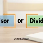 Divisor and Dividend